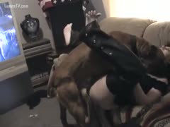 Busty floozy drilled by dog